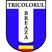 CS Tricolorul Breaza