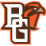 Bowling Green Falcons