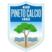 ASD Pineto Calcio