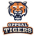 Oppsal Tigers 1