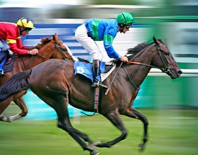 best Horse Racing betting odds comparison for Canada on this page