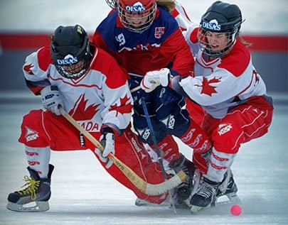 best Bandy betting odds comparison for Canada on this page