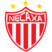 Club Necaxa