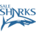 Sale Sharks