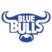 Blue Bulls