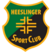 Heeslinger SC