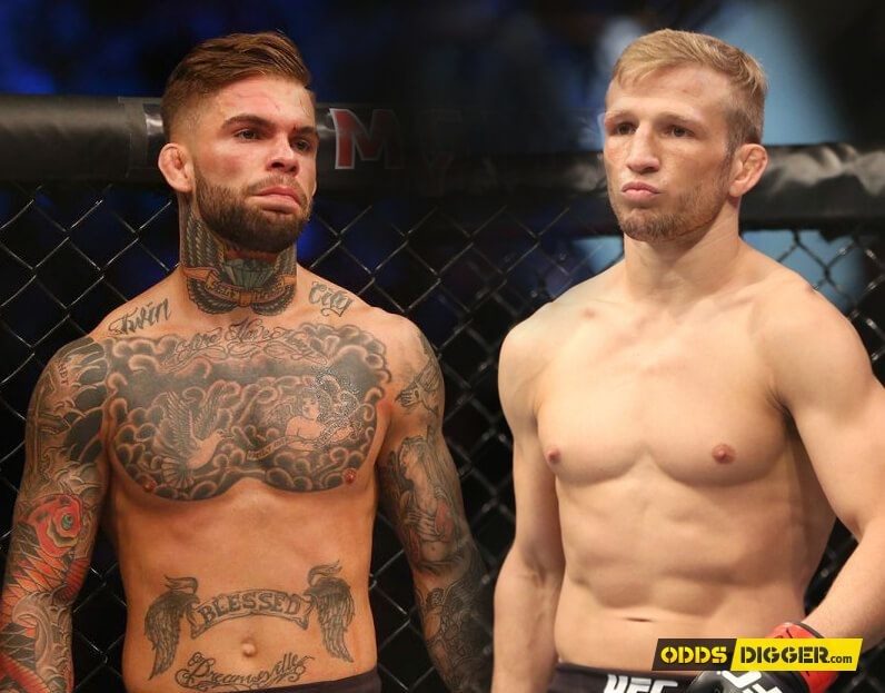 Cody Garbrandt vs T J Dillashaw Prediction