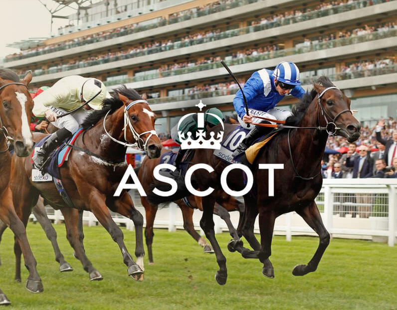 Ascot Racing