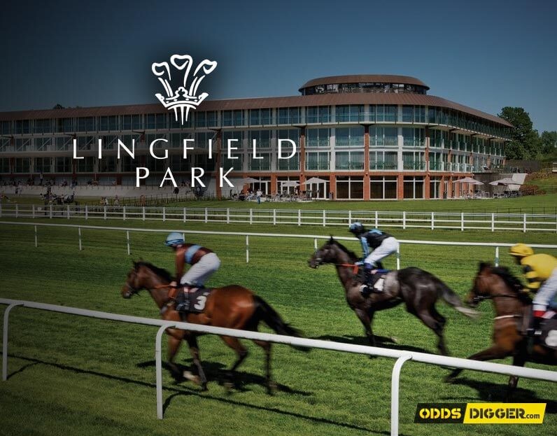 Lingfield Park racing tips