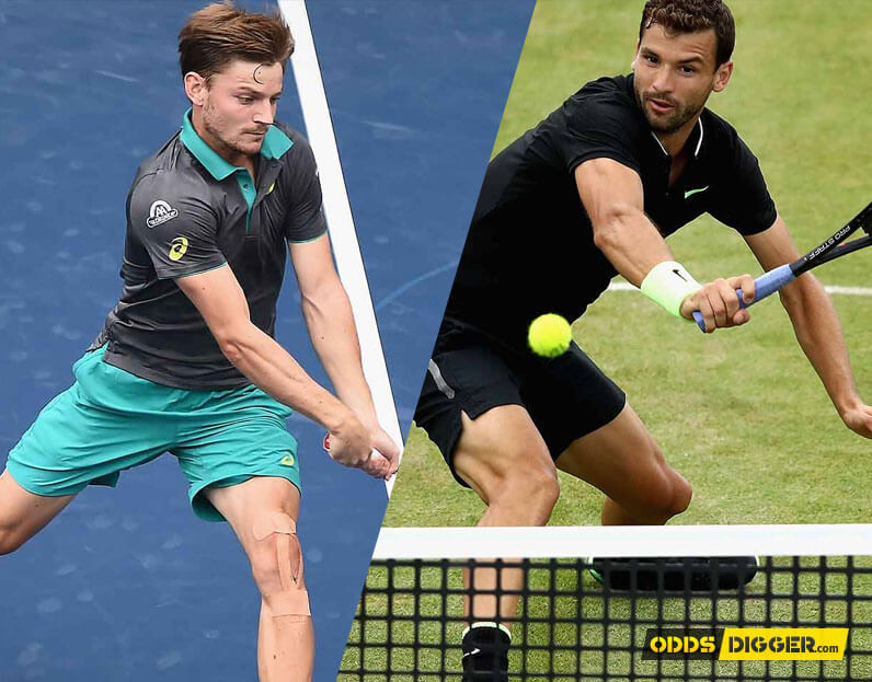 Grigor Dimitrov vs David Goffin