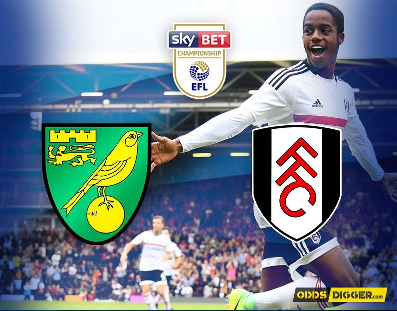 Norwich City vs Fulham