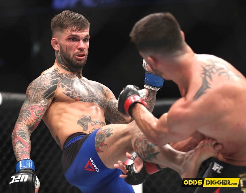 Cody Garbrandt vs Dominick Cruz