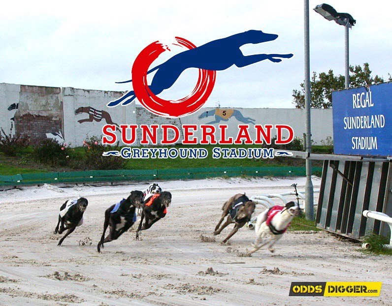 Sunderland Greyhound Stadium