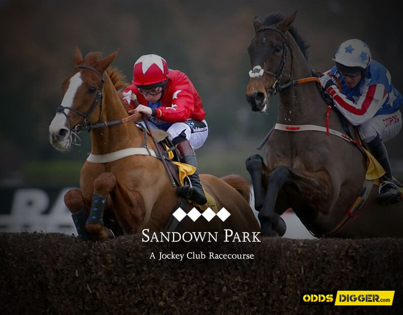 Sandown Tingle Creek Chase