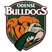 Odense Bulldogs