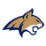 Montana State Bobcats football