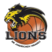 BK Lions Jindrichuv Hradec