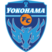 Nippatsu Yokohama FC Seagulls (W)