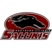 Southern Illinois Salukis