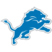 Detroit Lions