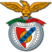 Sport Benfica e Castelo Branco