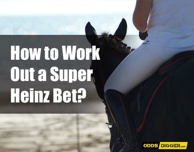 How to Work Out Super Heinz Bet on horses?