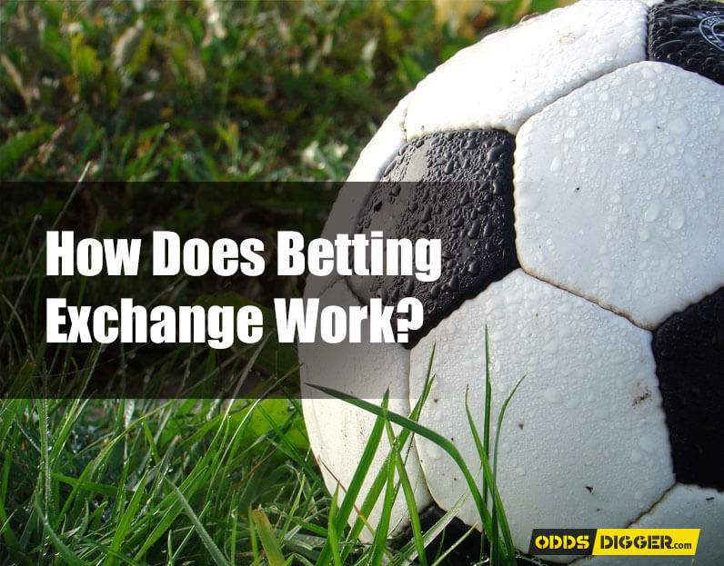 How Does Betting Exchange Work?