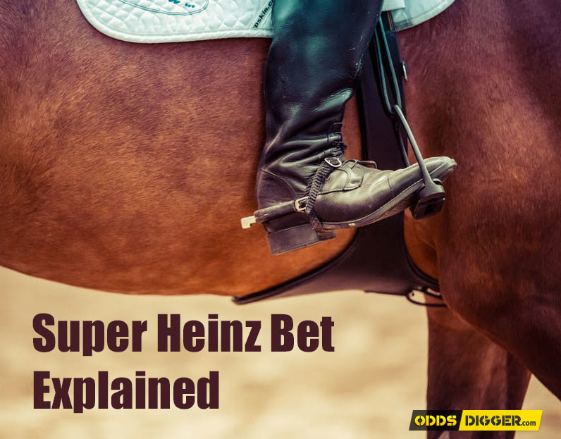 Super Heinz bet explained on horse racig