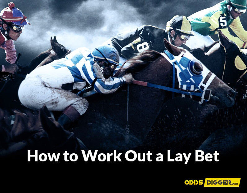 How to Work Out a Lay Bet?