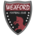Wexford Youths FC