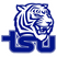 Tennessee State Tigers football