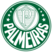 Sociedade Esportiva Palmeiras SP
