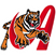 Tigres de Aragua