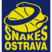 BK Snakes Ostrava