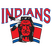 EC Hannover Indians