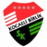 Kocaeli Birlik Spor