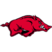 Arkansas Razorbacks